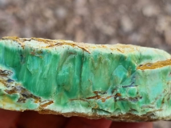 Variscite rough. VR521