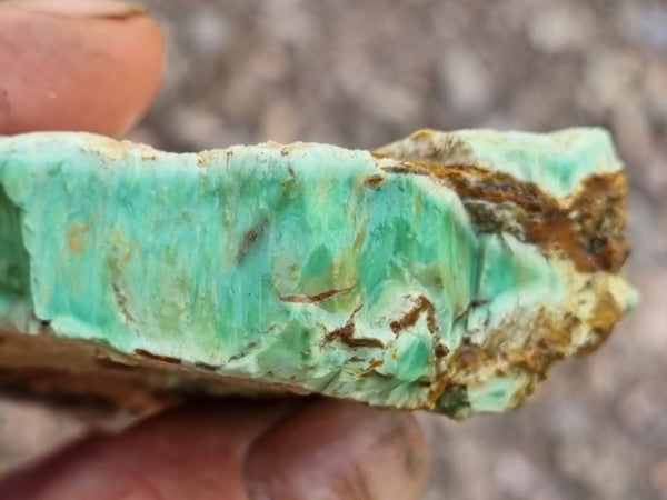 Variscite rough. VR521