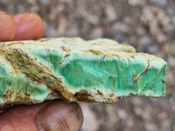 Variscite rough. VR521