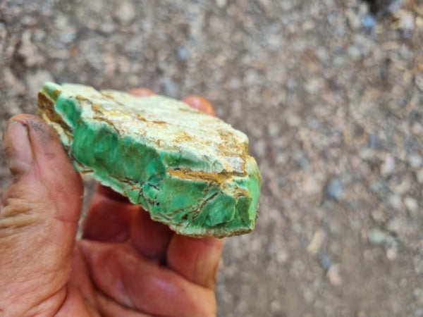 Variscite rough. VR521