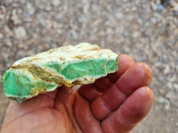 Variscite rough. VR521