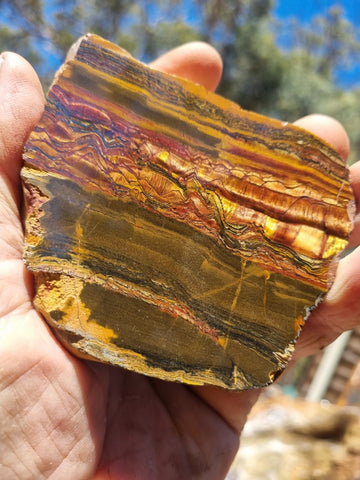 Polished Tiger Eye slab TE378