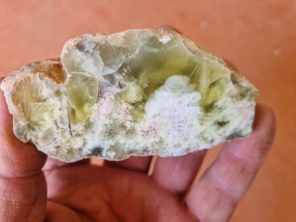 Polished Prehnite PR117