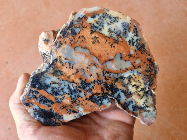 Polished Dendritic Opal DO186