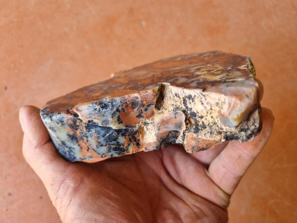 Polished Dendritic Opal DO186