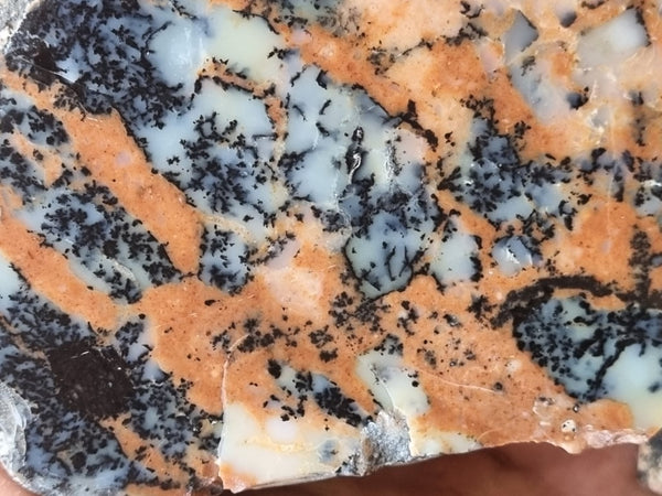 Polished Dendritic Opal DO186