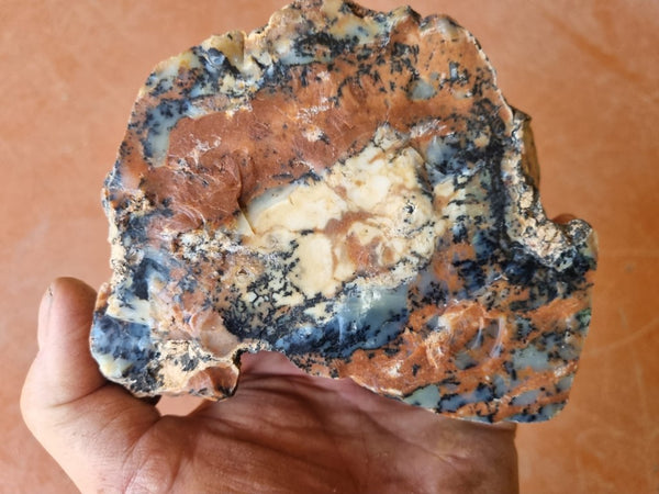 Polished Dendritic Opal DO186