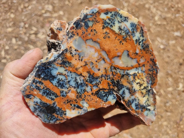 Polished Dendritic Opal DO186