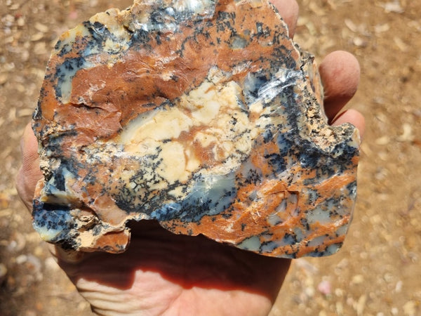 Polished Dendritic Opal DO186