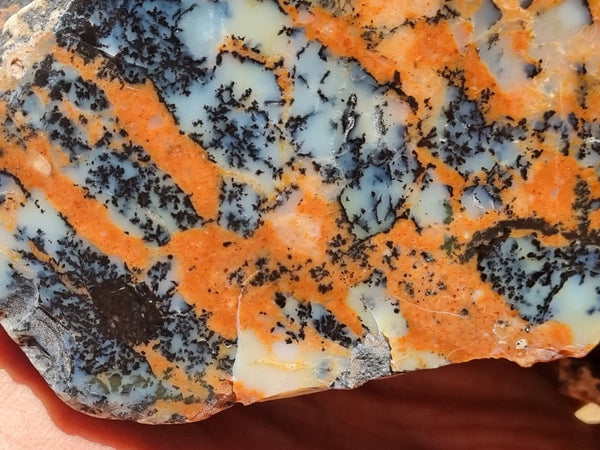 Polished Dendritic Opal DO186