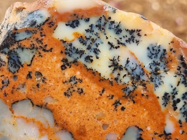 Polished Dendritic Opal DO186