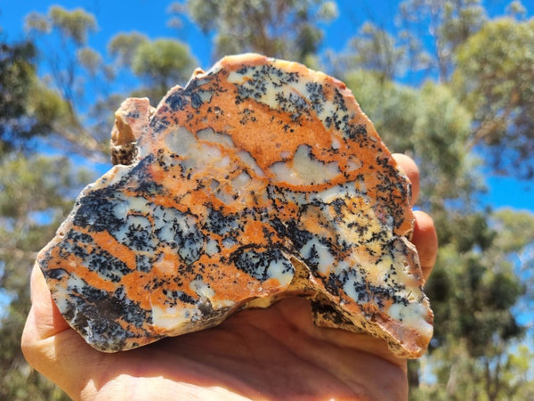 Polished Dendritic Opal DO186