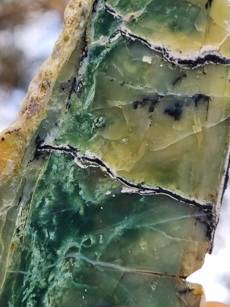 Polished Green Opal slab GRN86