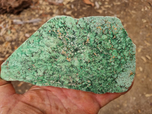 Variscite Polished rock.  VP 265