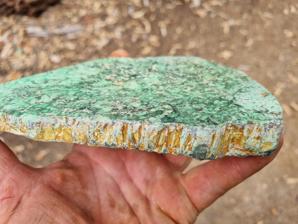 Variscite Polished rock.  VP 265