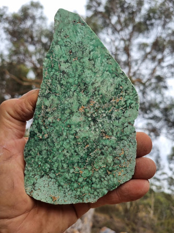 Variscite Polished rock.  VP 265