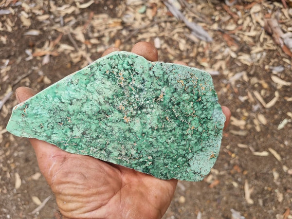 Variscite Polished rock.  VP 265