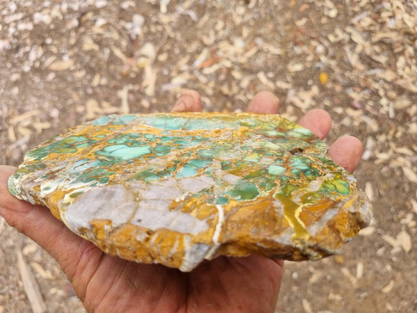 Variscite Polished Slab.  VP 266