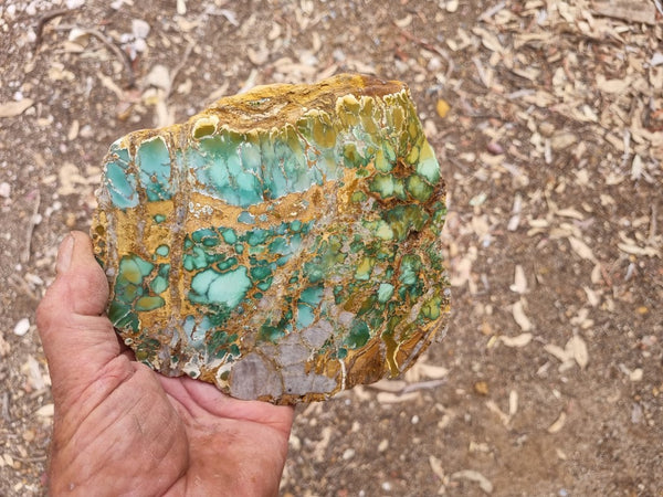 Variscite Polished Slab.  VP 266