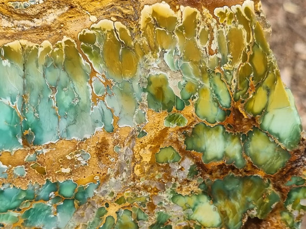 Variscite Polished Slab.  VP 266