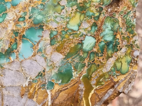 Variscite Polished Slab.  VP 266