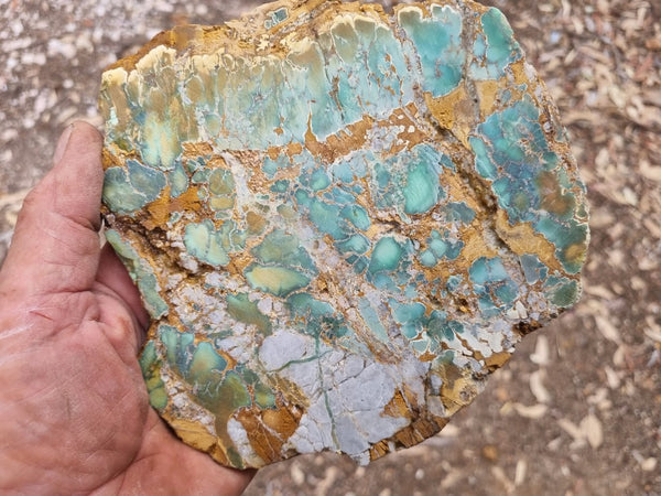 Variscite Polished Slab.  VP 266