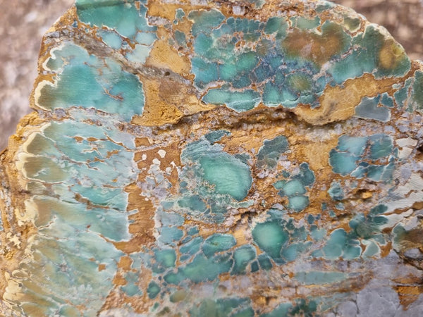 Variscite Polished Slab.  VP 266