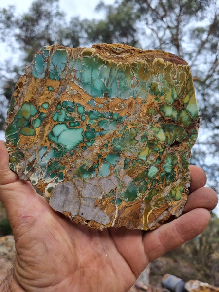 Variscite Polished Slab.  VP 266