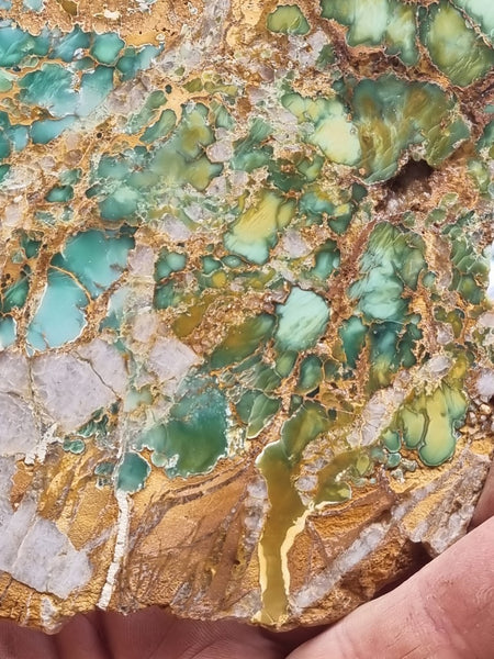 Variscite Polished Slab.  VP 266