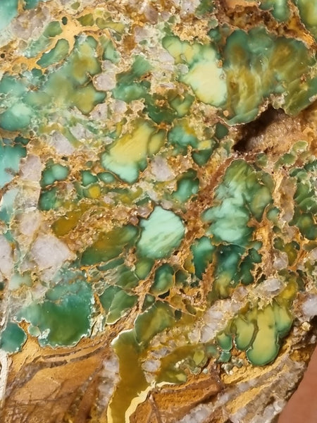 Variscite Polished Slab.  VP 266