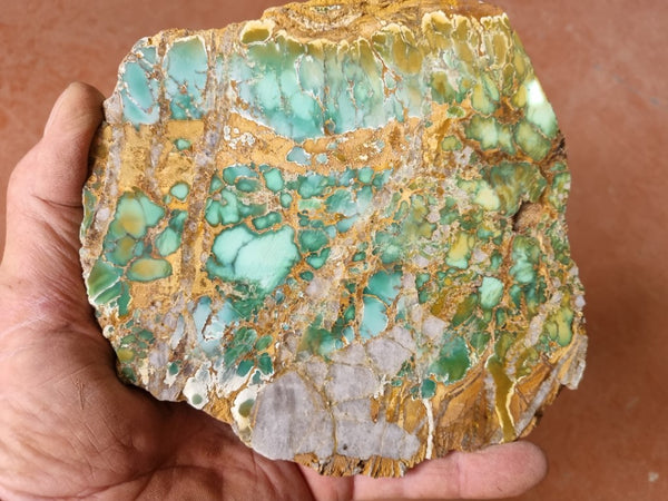 Variscite Polished Slab.  VP 266