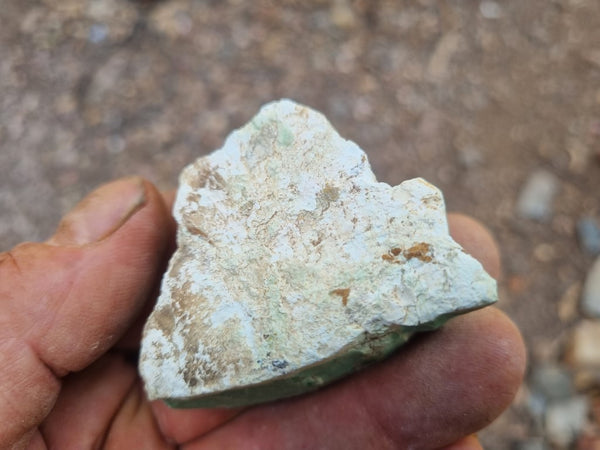 Variscite rough. VR531