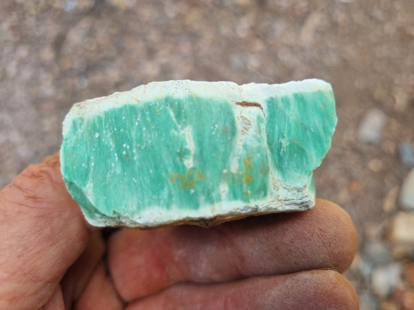 Variscite rough. VR531