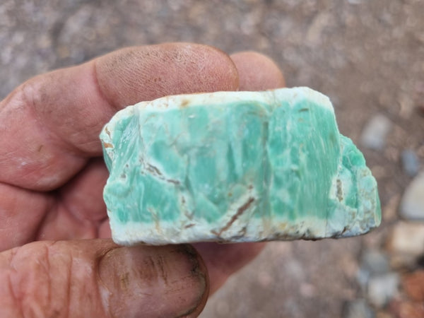 Variscite rough. VR531