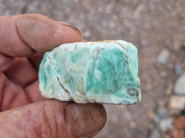 Variscite rough. VR531