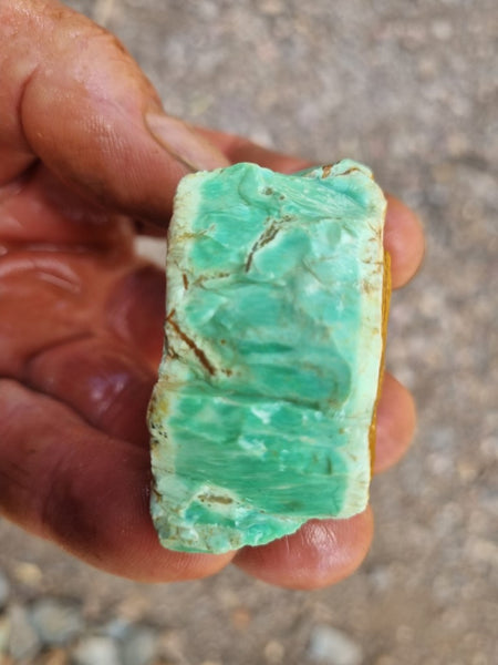 Variscite rough. VR531