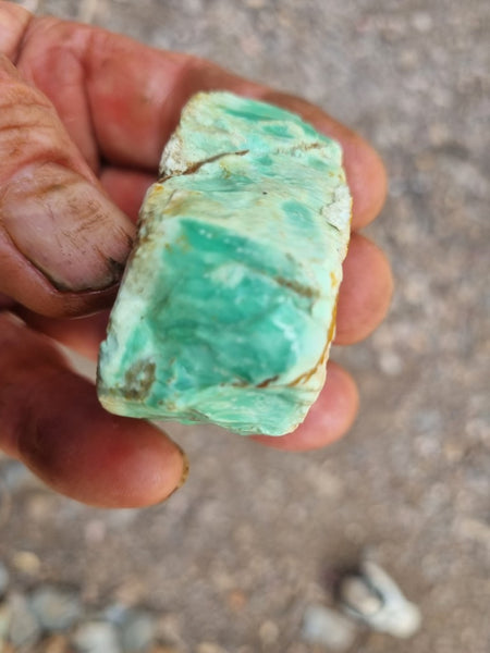 Variscite rough. VR531