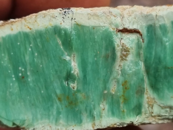 Variscite rough. VR531