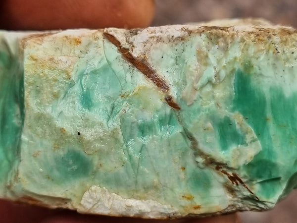 Variscite rough. VR531