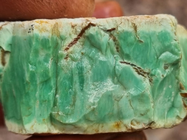 Variscite rough. VR531