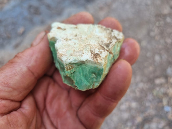 Variscite rough. VR531