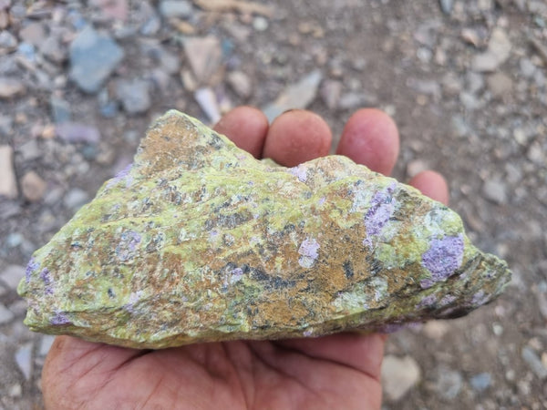 Rough Stichtite in Serpentine (Atlantisite) STR128