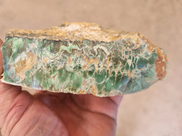 Variscite rough. VR523