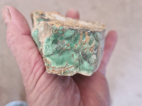 Variscite rough. VR523