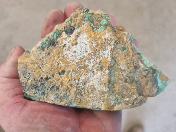 Variscite rough. VR523