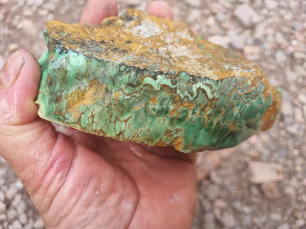 Variscite rough. VR523