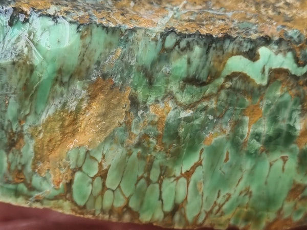 Variscite rough. VR523