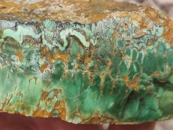 Variscite rough. VR523