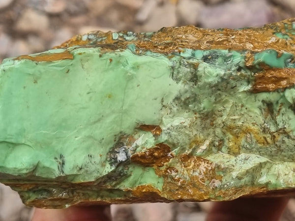 Variscite rough. VR523