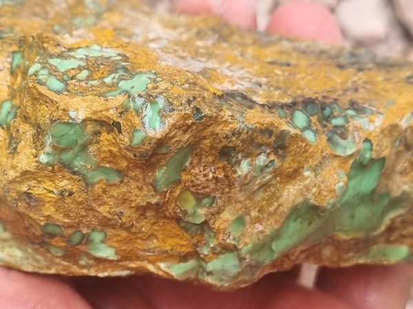 Variscite rough. VR523